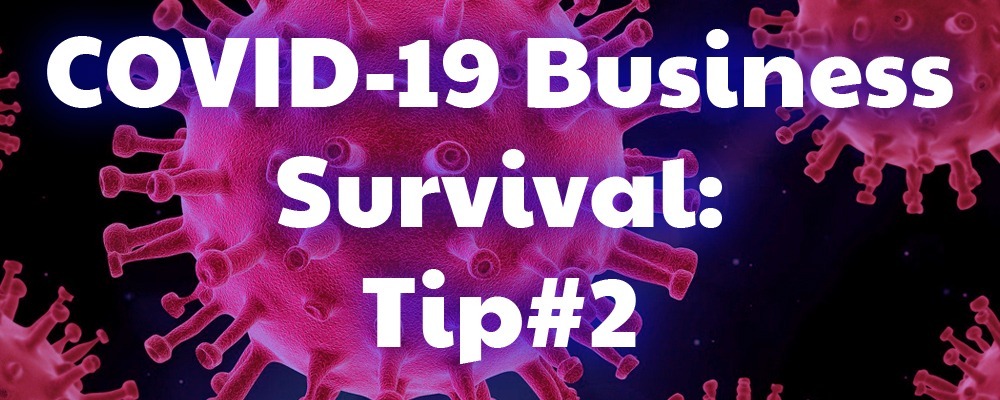 COVID-19 Business Survival – Tip #2 (Adapt Your Business)